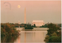 Washington D.C., United States of America