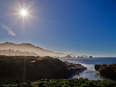 USA: CA, Point Lobos