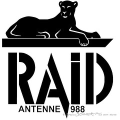 RAID-988, un nouveau chef
