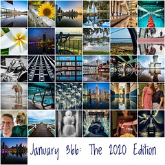 Mosaic 366: The 2020 Edition