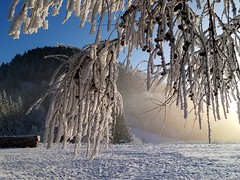 Winter in Góry Suche, Poland. Part 5.