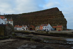 Staithes and Whitby 2019