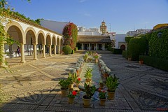 Los patios y jardines del Palacio de Viana. Córdoba-