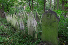 Tower Hamlets Cemetery (London)