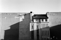 Leica Summarit-M 50mm f2.5