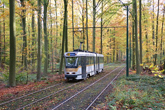 Les tramways de Bruxelles