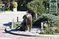 San Francisco Zoo February 8, 2020