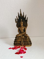 brass Buddha statue