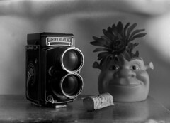 Film cameras captured on film.
