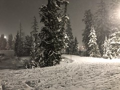 Night Skiing @ Cypress - February 2020