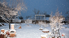 200211 Snow, Rio Rancho, Feb 2020