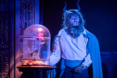 Beauty and The Beast by The Hammond (12th-15th Feb 2020)