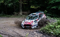Ford Fiesta R5 Chassis 183 (active)
