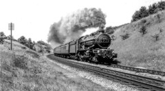 Purchased Black and White Railway Images