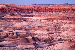 Petrified Forest National Park (2-8-20 - 2-9-20)