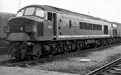 Class 44 45 46