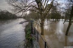 Cardiff - Bute Park Flooding - 17 Feb 20