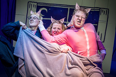 3 Little Pigs by Tip Top Productions (Feb 2020)