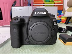 Canon 5D4 + 35mm F1.4L II