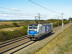 Trains - Wiener Lokalbahnen Cargo 193