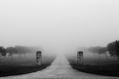 Medoc brouillard