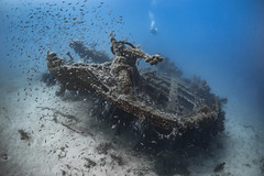 The Dalton wreck of Mediterranean Sea.