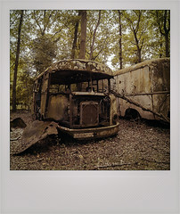 bus in the wood
