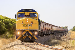 SSR Trains