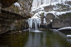 Waterfall Glen Forest Preserve