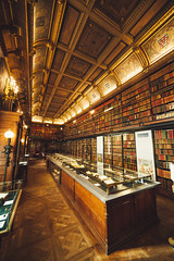 Library, Château de Chantilly