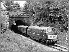 UK Railways - Class 42