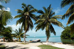 Belize, Caye Caulker - February 2020