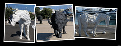 20170714_3 Very roughly textured animal sculptures in Antibes, France