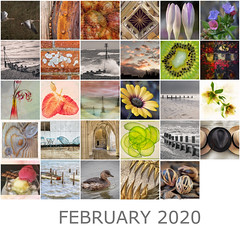 Monthly Mosaics - 366/2020 Vision