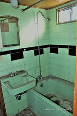 Vintage Bathrooms