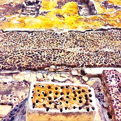 Tenochtitlan Ruins