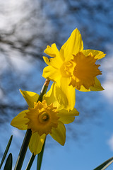 2020 Warwickshire Spring