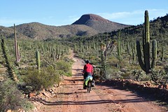 Cycling Baja California 3