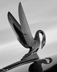 Cars and Hood Ornaments