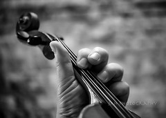 The Fiddler Pentalogy