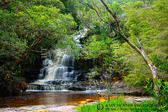 SOMERSBY FALLS March 2020