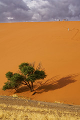 Sand dunes, Namibia November 2006