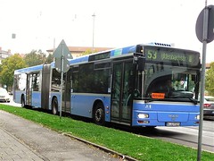 MVV Munchen (D) buses