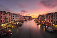 Venezia 2020