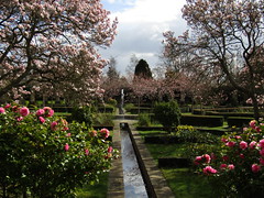 the memorial garden 