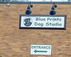 BLUE PRINT DOG STUDIO