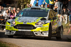 Ford Fiesta R5 Chassis 207 (active)