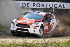 Ford Fiesta R5 Chassis 208 (active)