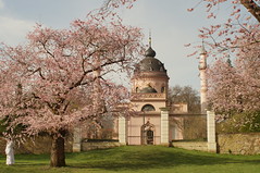 Kirschgarten und Moschee