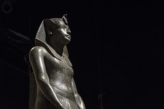 Tutankamón, la tumba y sus tesoros